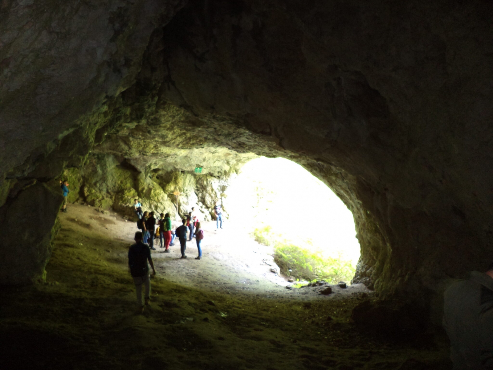 Pestera din Meresti, cheile varghisului, stanca minunilor, pestera, judetul harghita