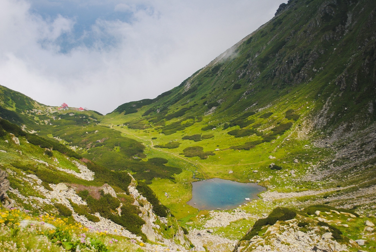 varful pietrosul, rodna, carpati orientali, cel mai inalt varf, rezervatie naturala