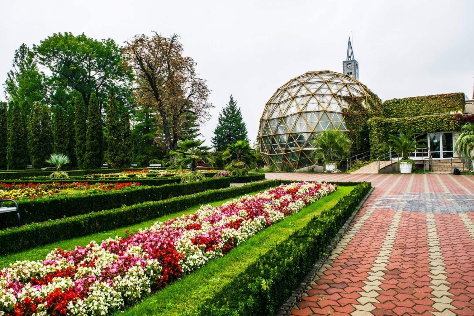 gradina botanica, jibou, judetul salaj, flori