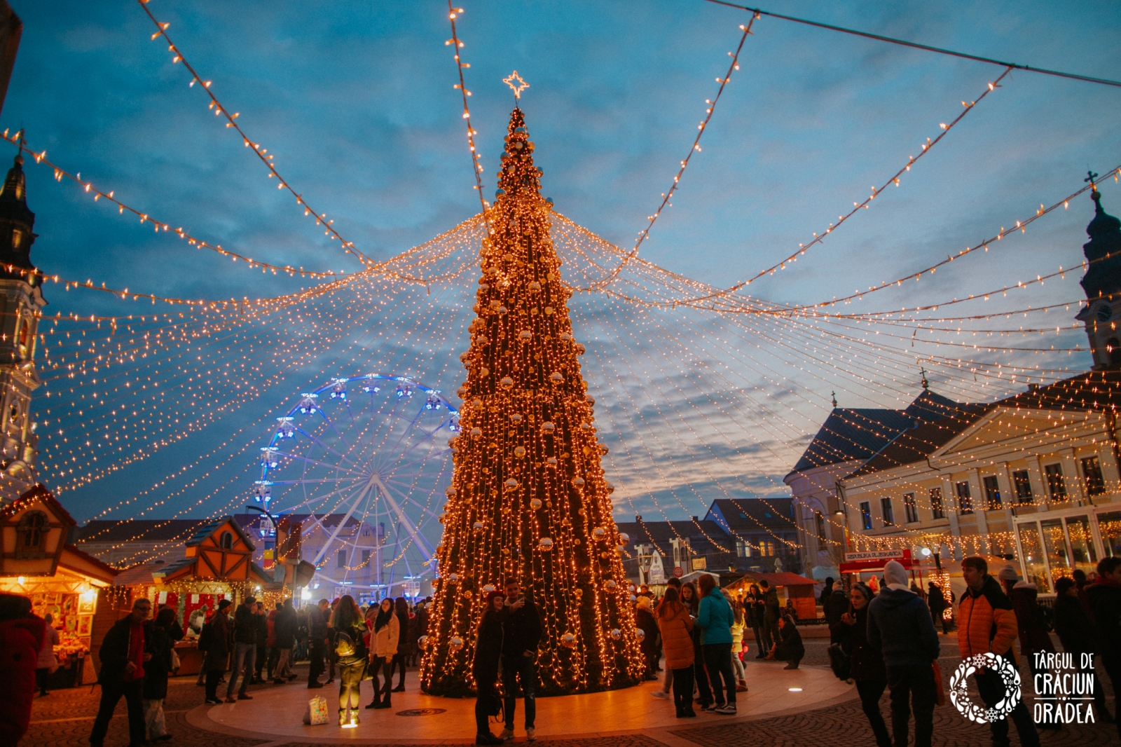 targul de craciun oradea, brad de craciun
