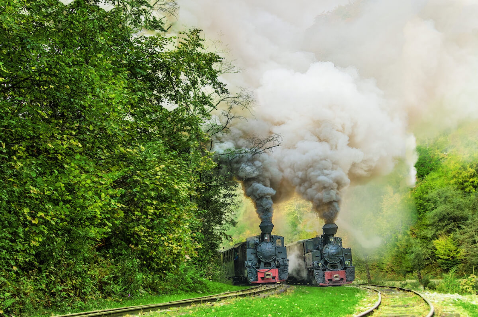 Mocanita, Maramures, tren cu aburi, vara, vehicul feroviar autentic