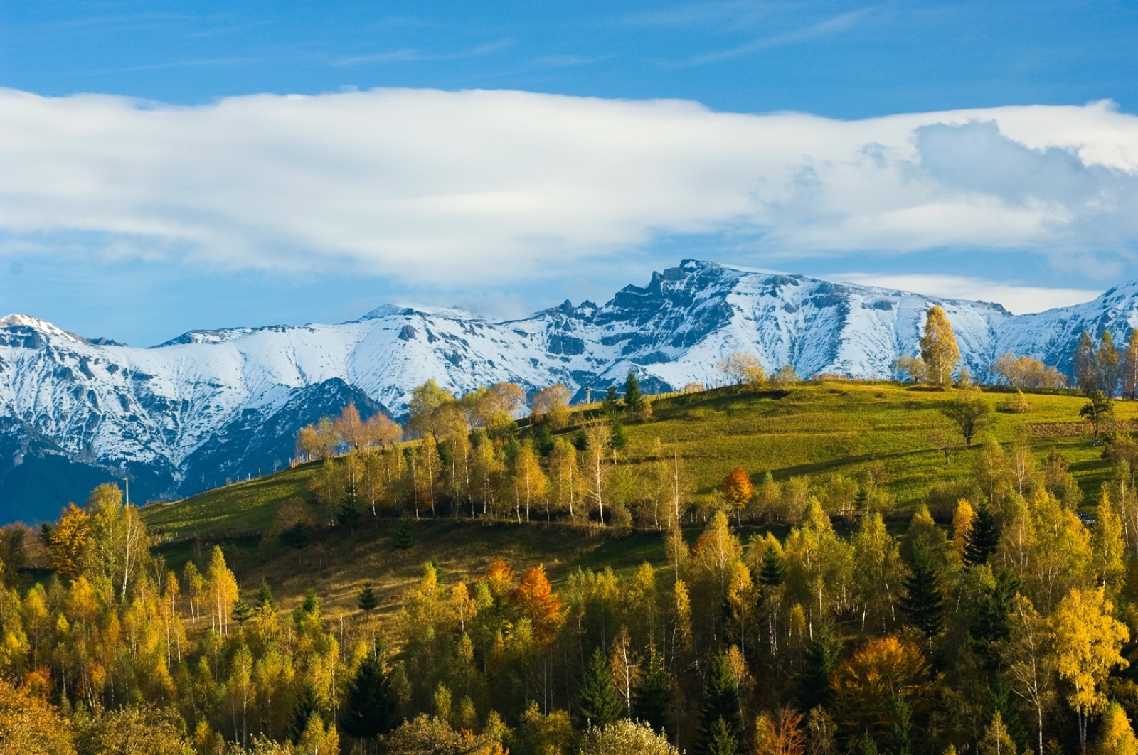 Parcul National Piatra Craiului, judetul Brasov