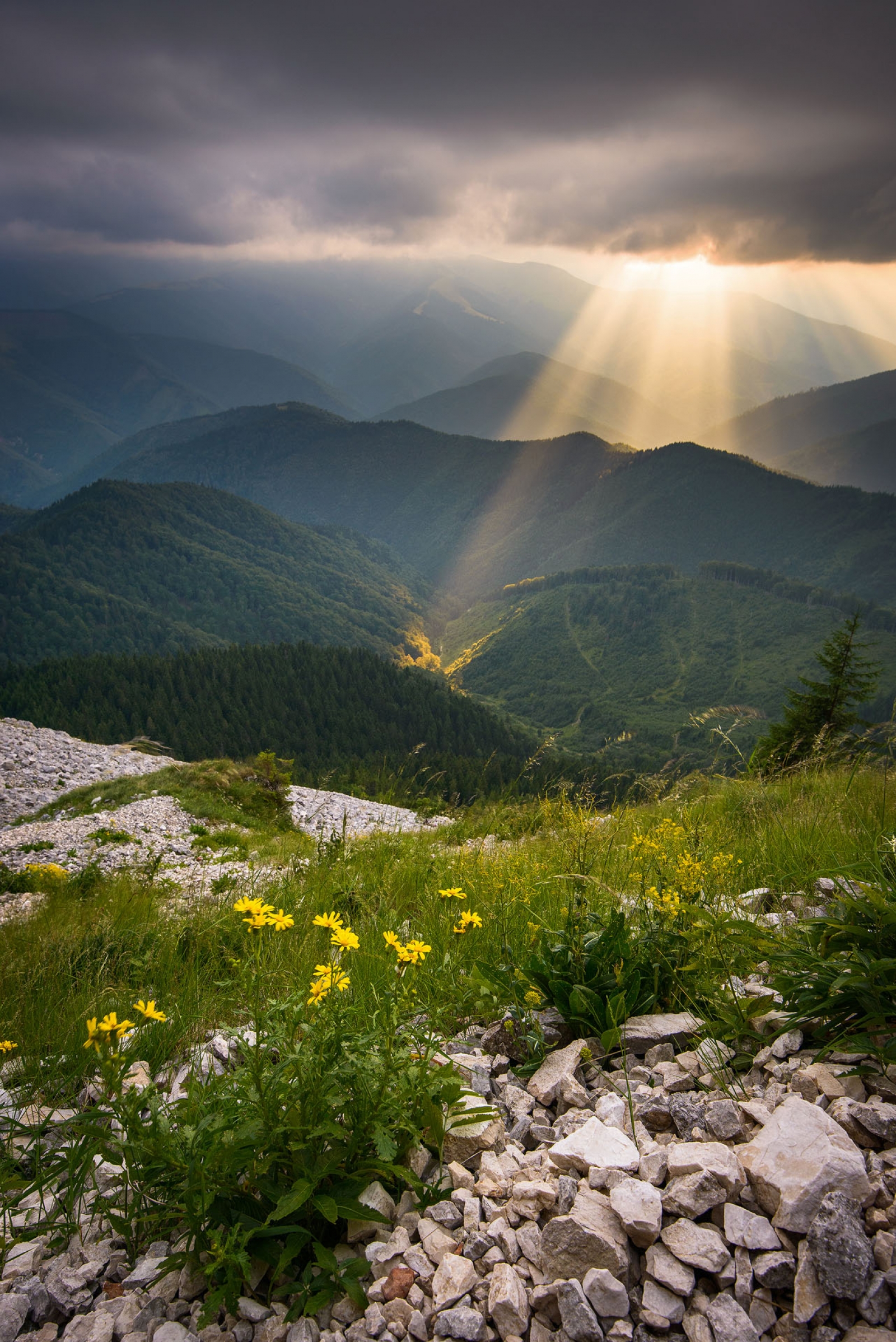 Descoperă latura sălbatică a Transilvaniei: 5 locuri de neratat
