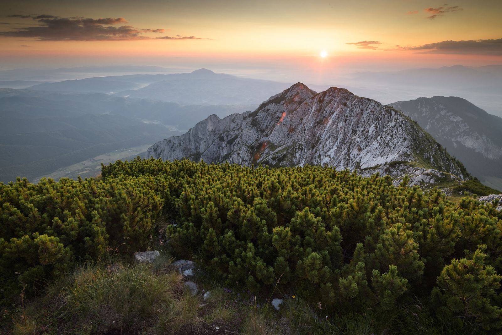 piatra craiului, judetul brasov, parc natural