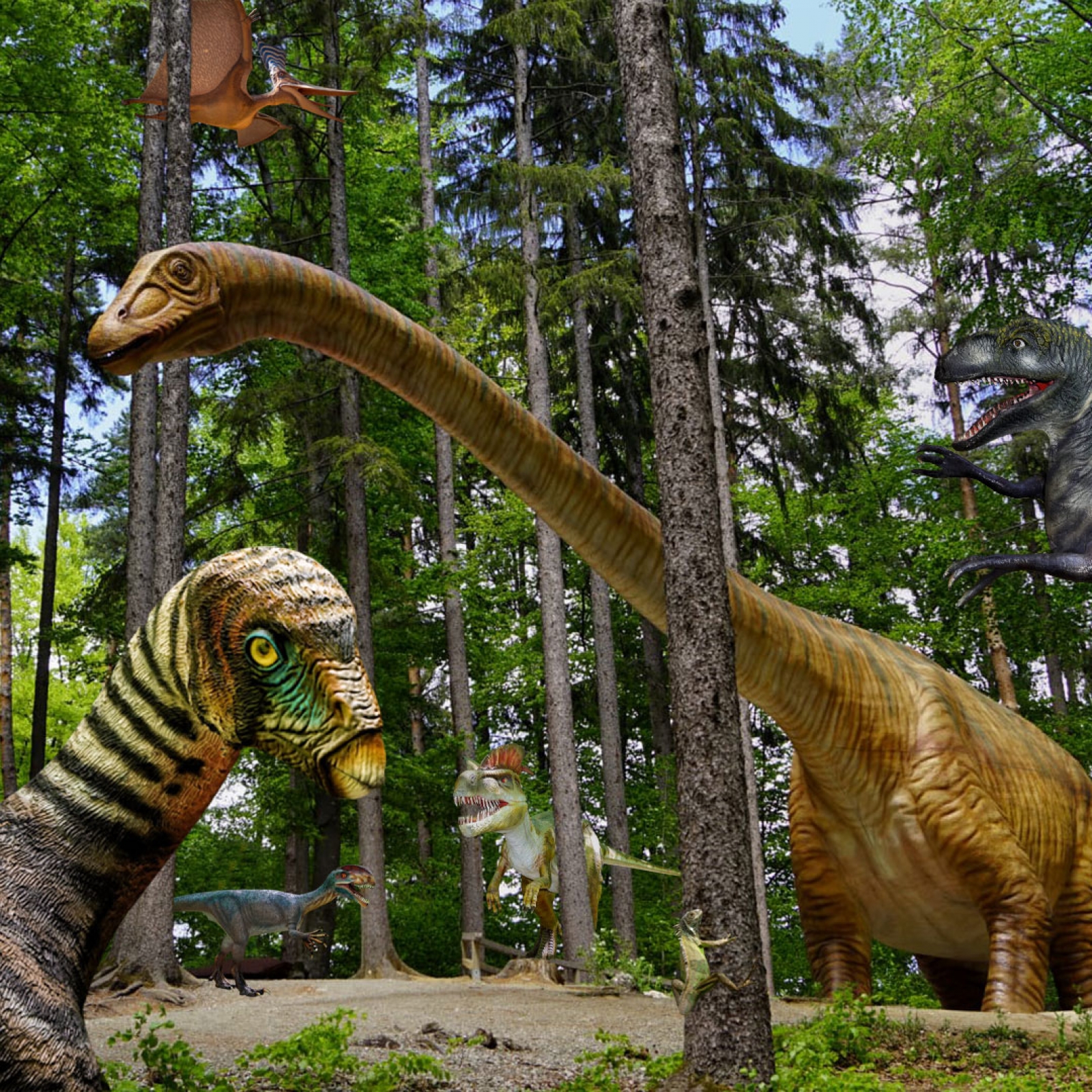 Educație și distracție într-un singur loc - Dino Parc din Râșnov