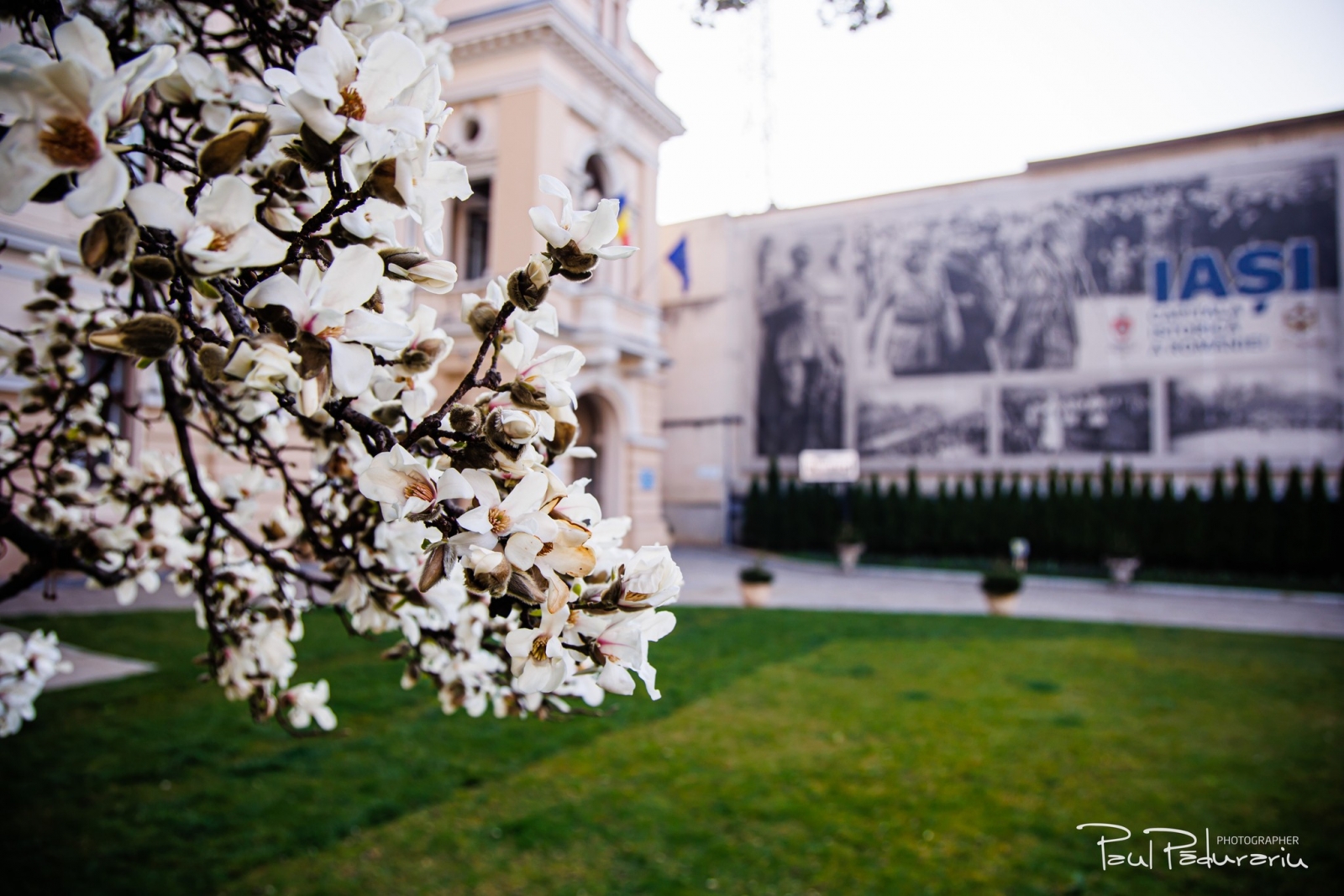 iasi, flori, oras din romania
