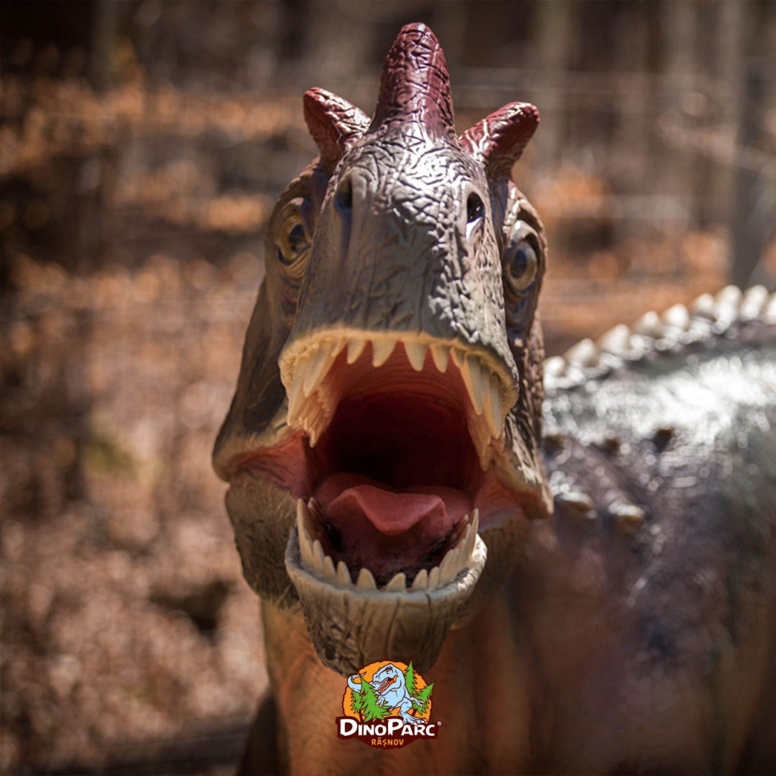 dino parc rasnov, dinozauri