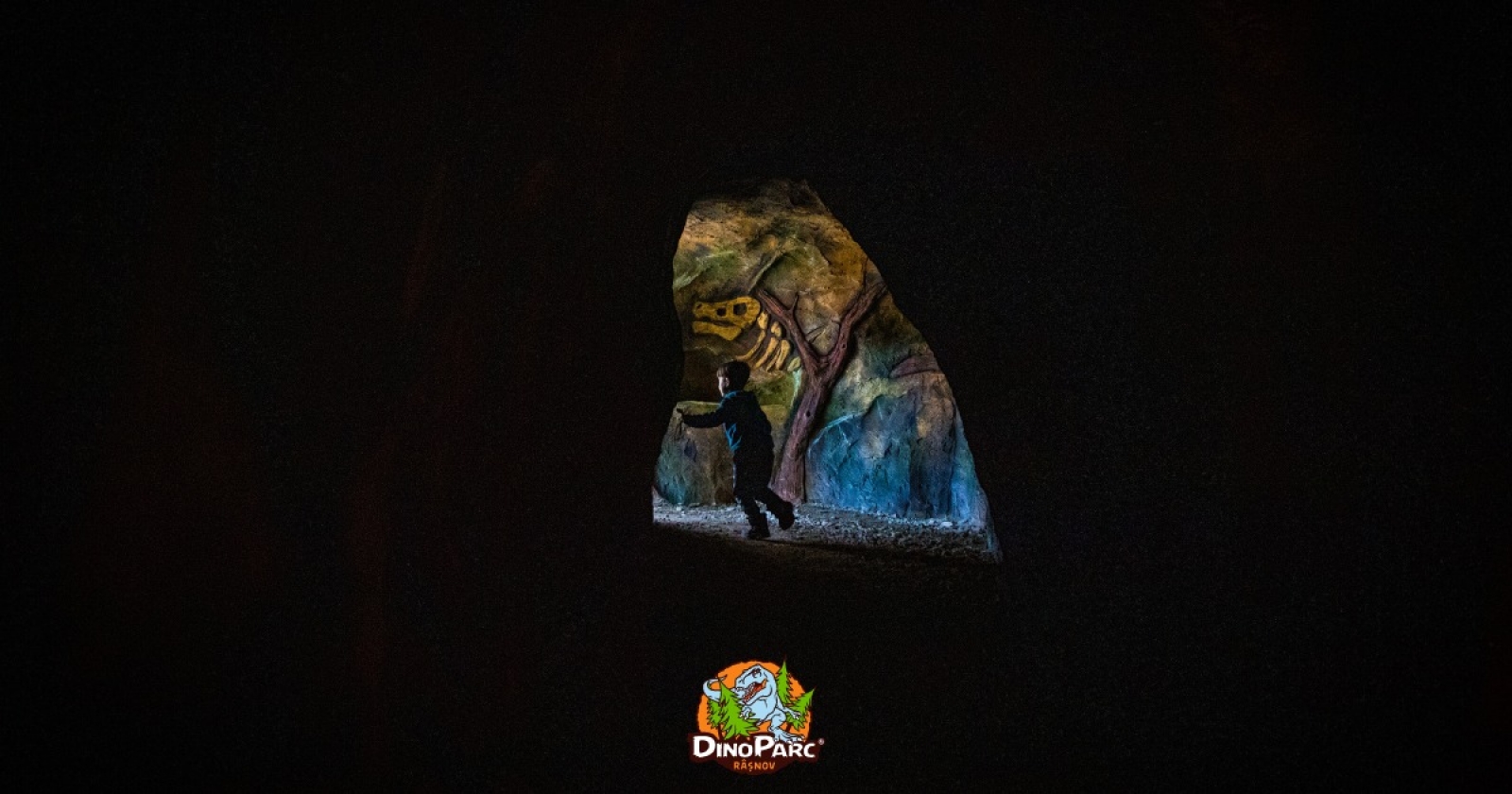 copil in dino parc rasnov, fosile, explorare, acitivitati copii