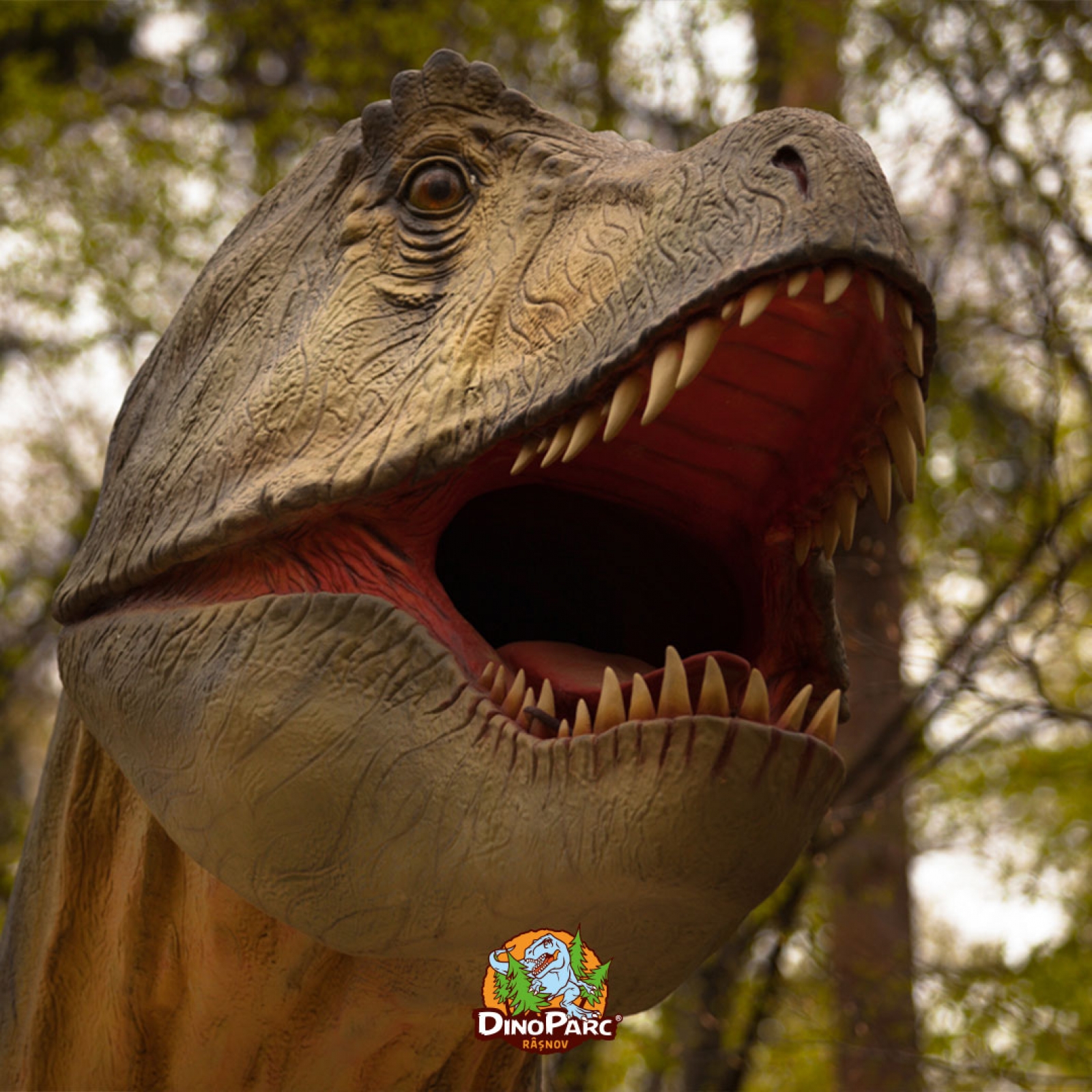 Dino Parc Râșnov: 5 lucruri interesante și utile de știut