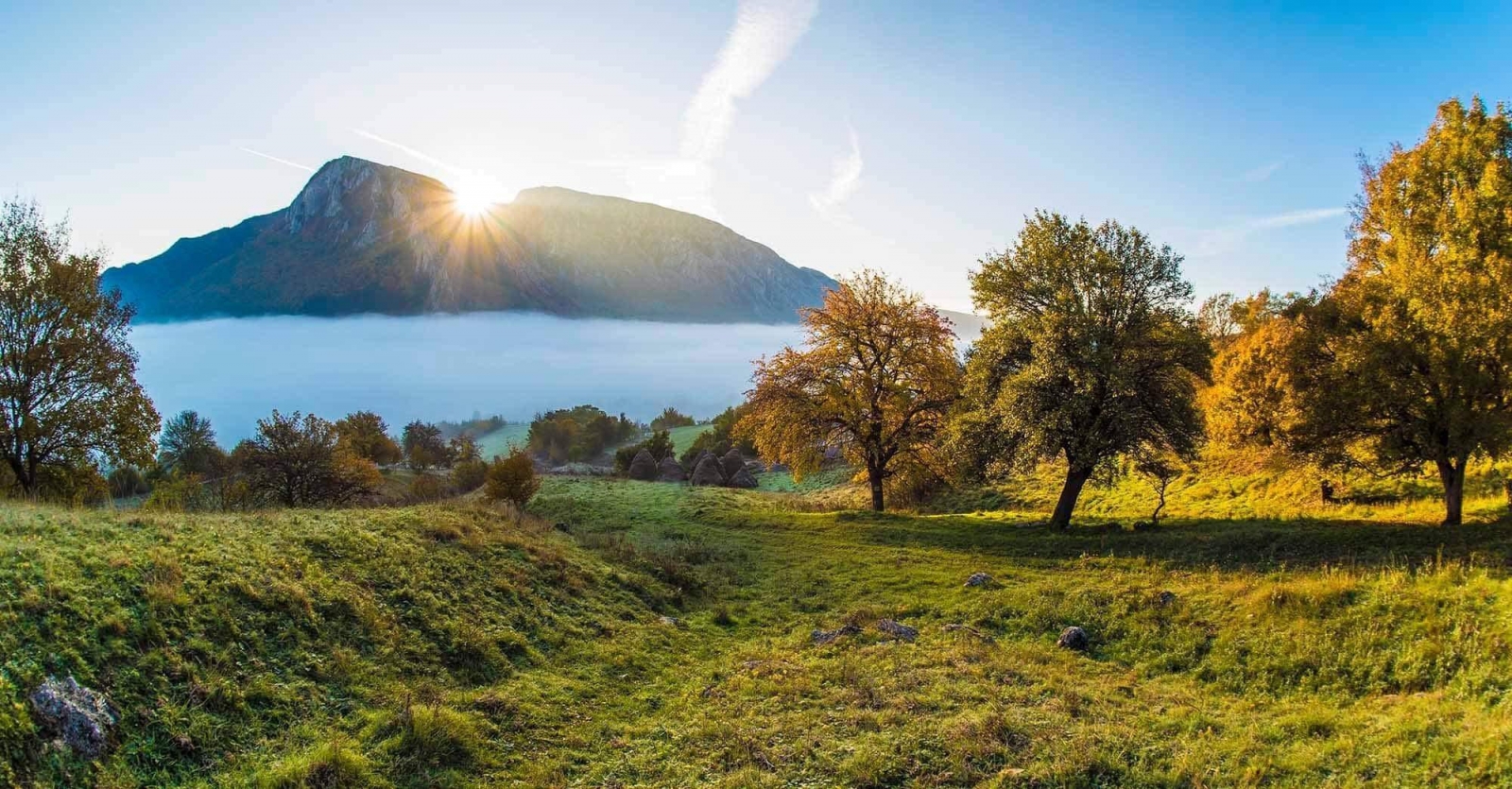 atmosfera calma, peisaje de neuitat