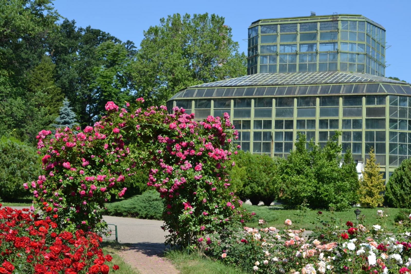 Dimitrie Brândză Botanikus Kert, bukarest