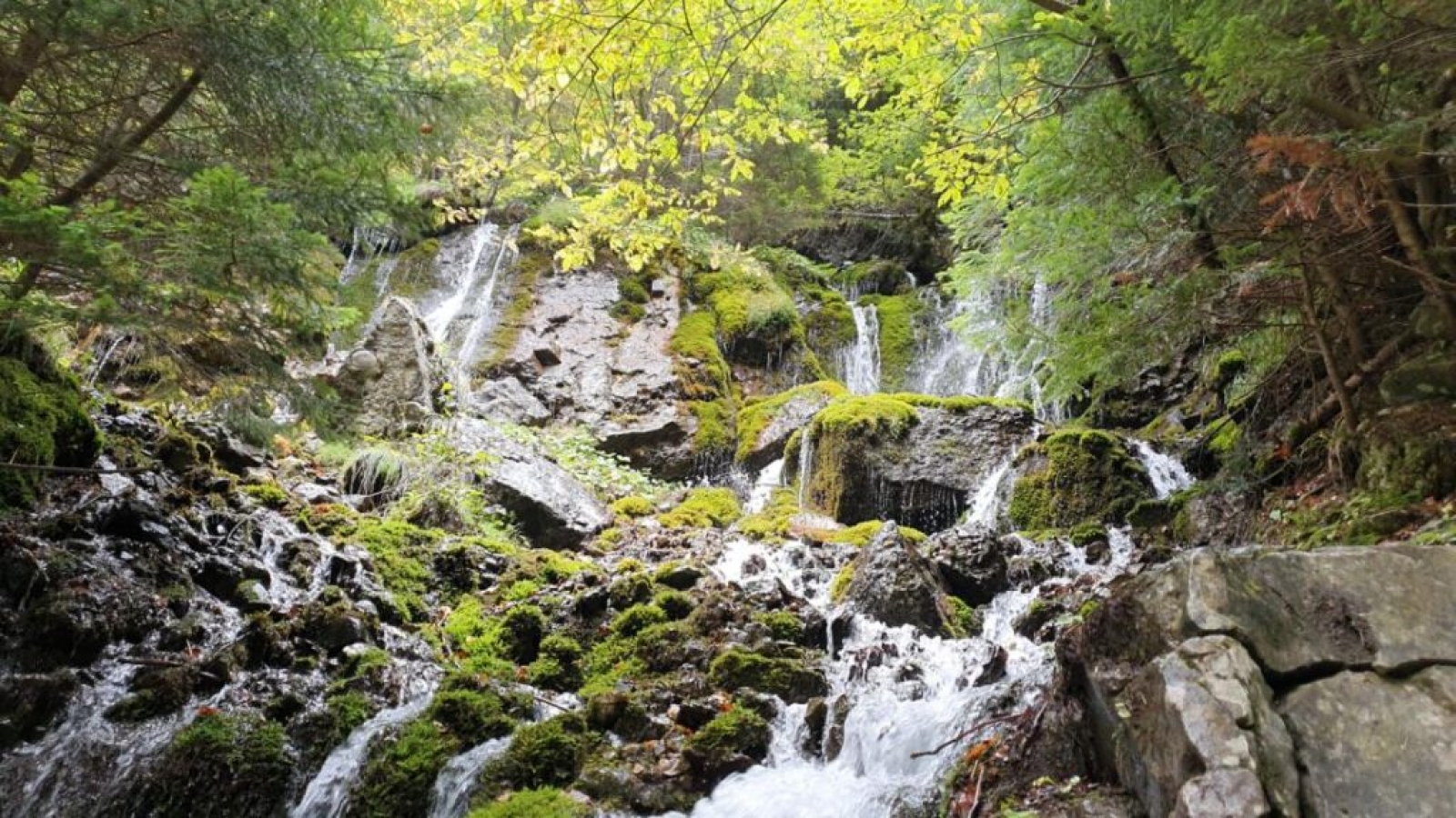 cascada valea spumoasa