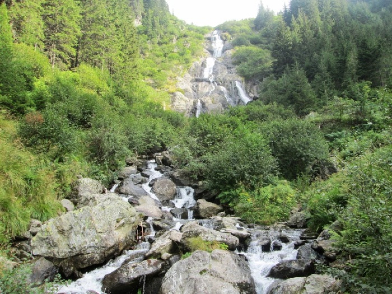 cascada serbota