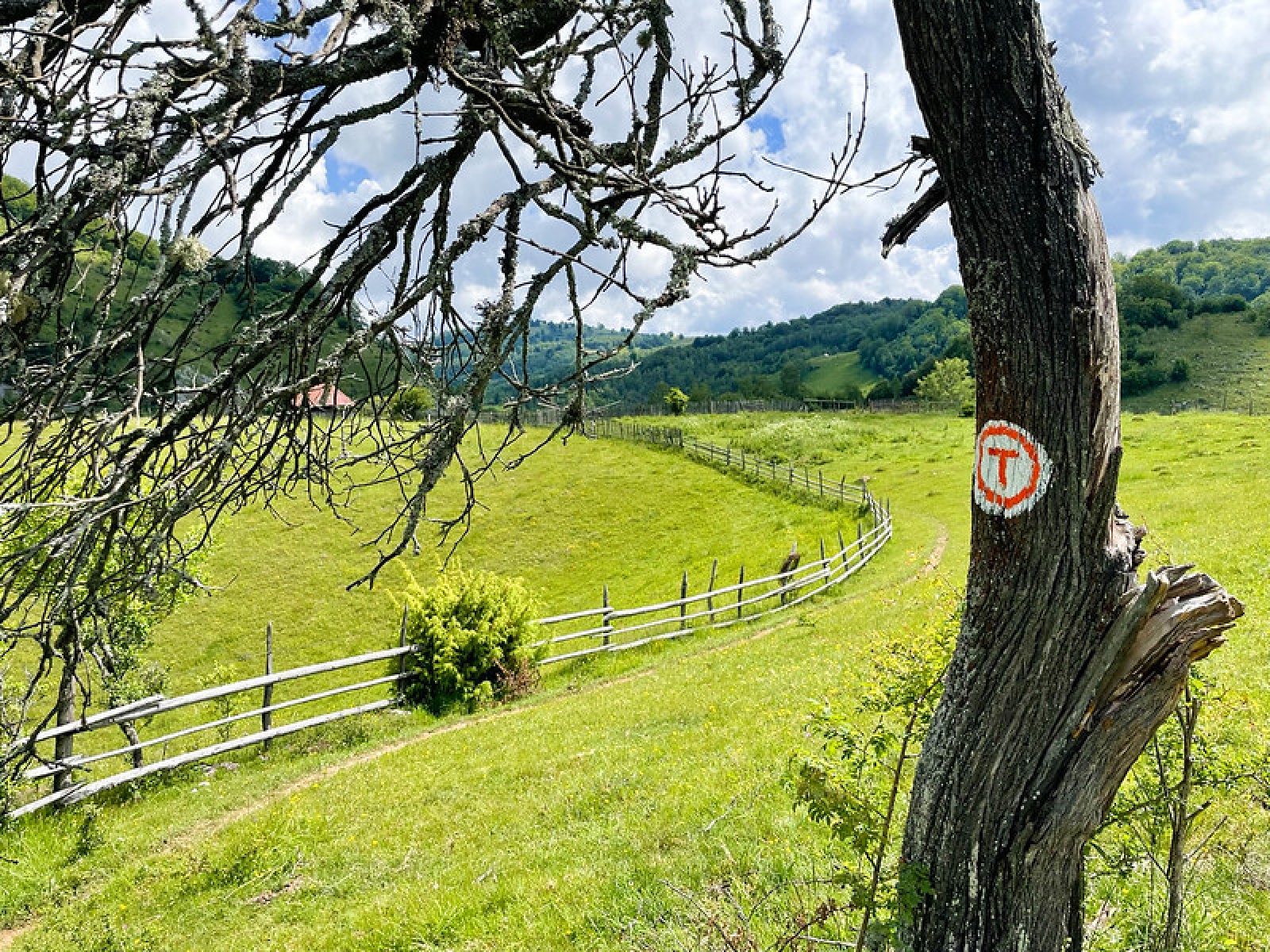 Natura, viata la tara 