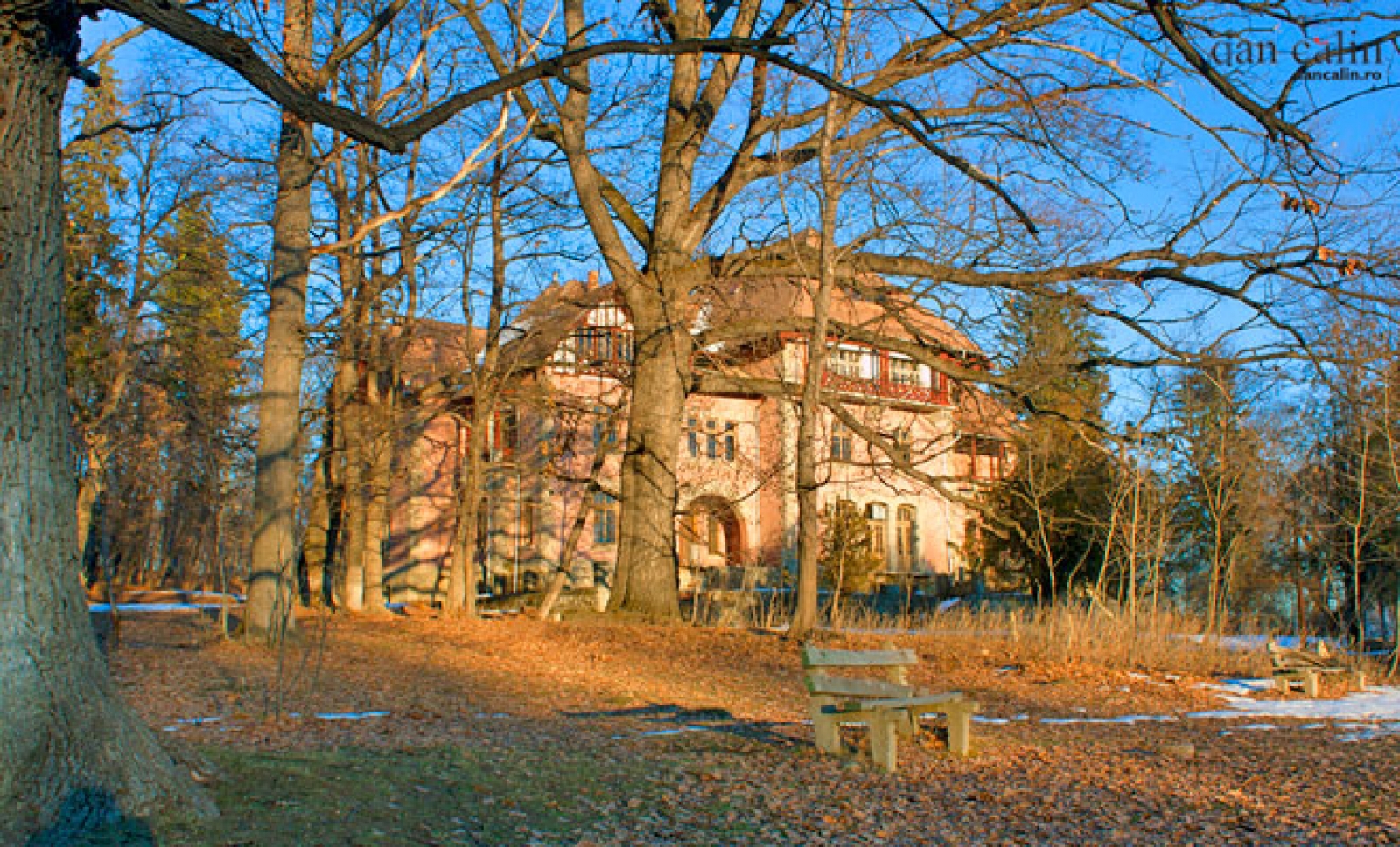 Zona Dărmănești, Județul Bacău