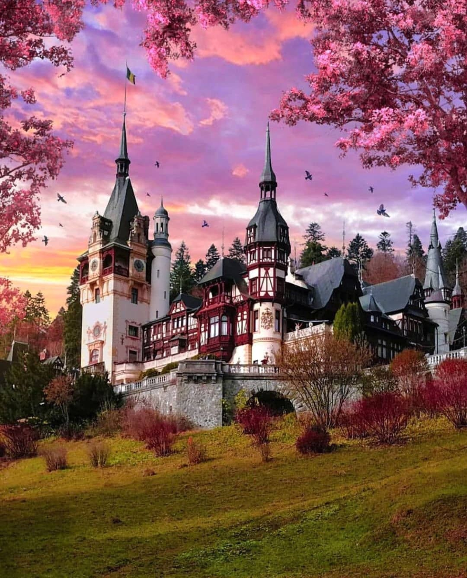 Castelul Peleș, Sinaia, primavara, ciresi 
