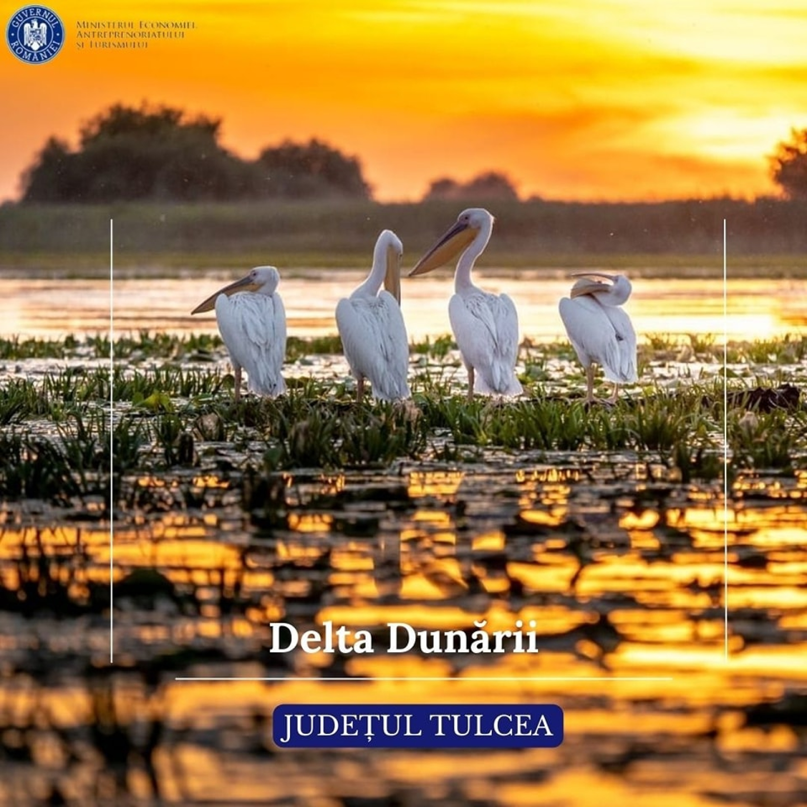 Delta Dunării, Dobrogea