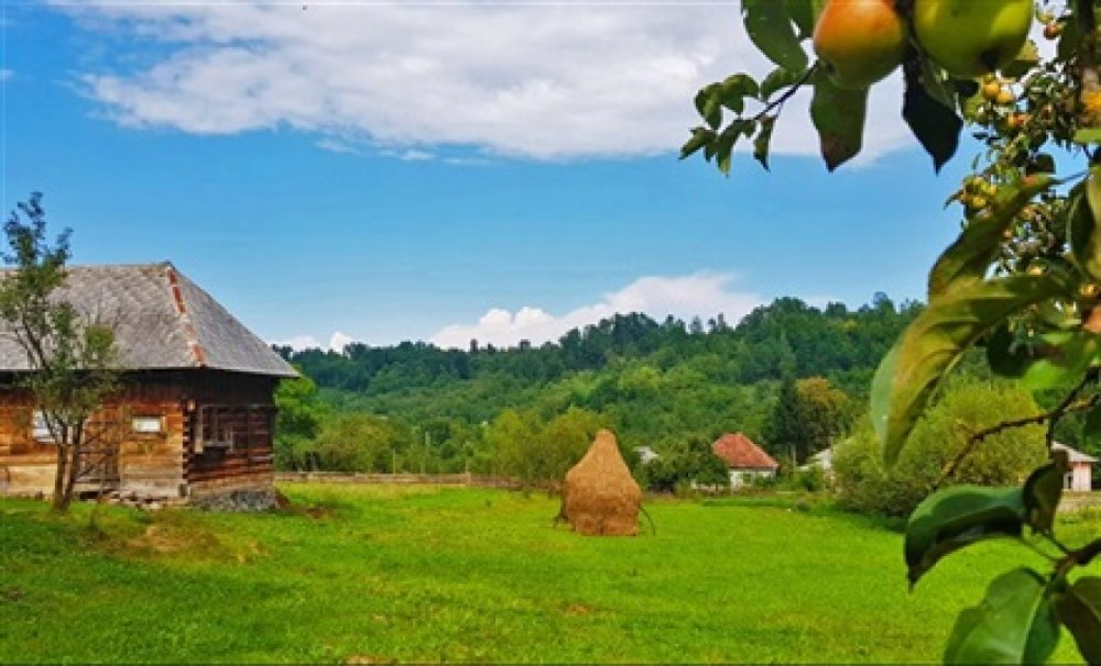 Breb, maramures 