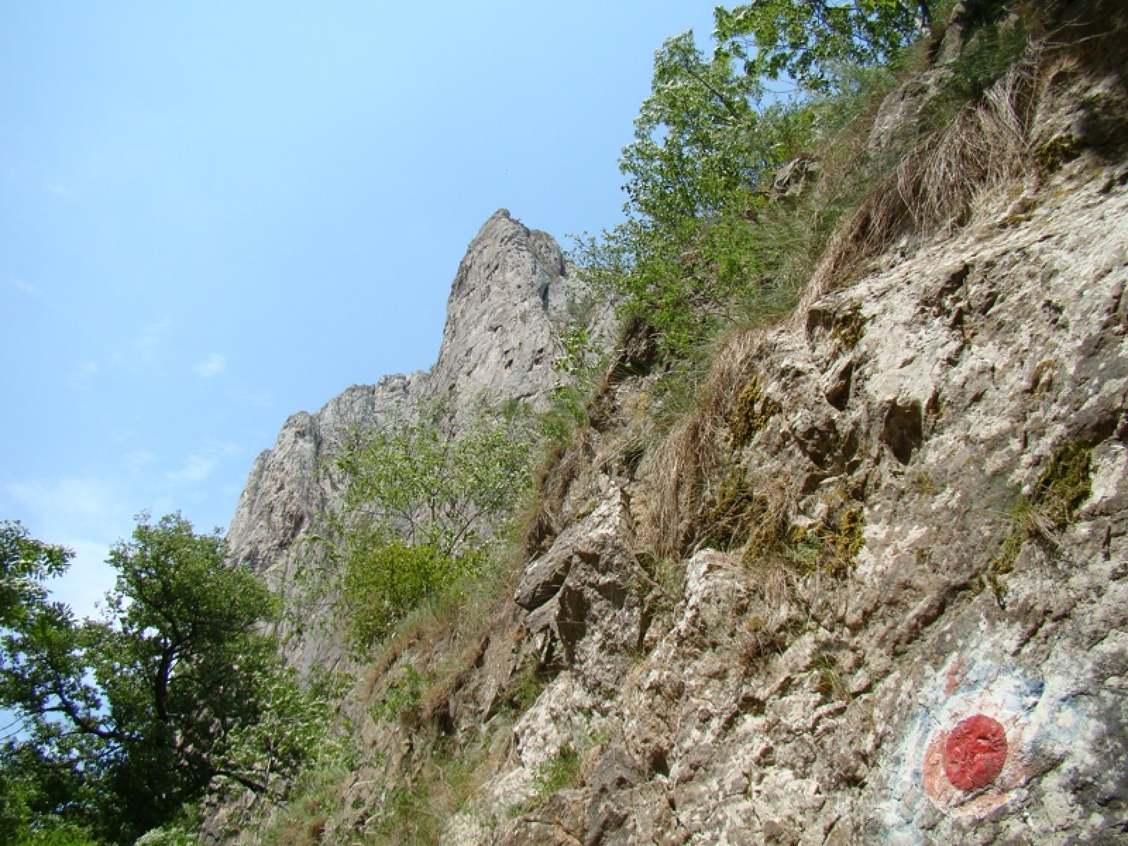 Escalada, cheile truzii