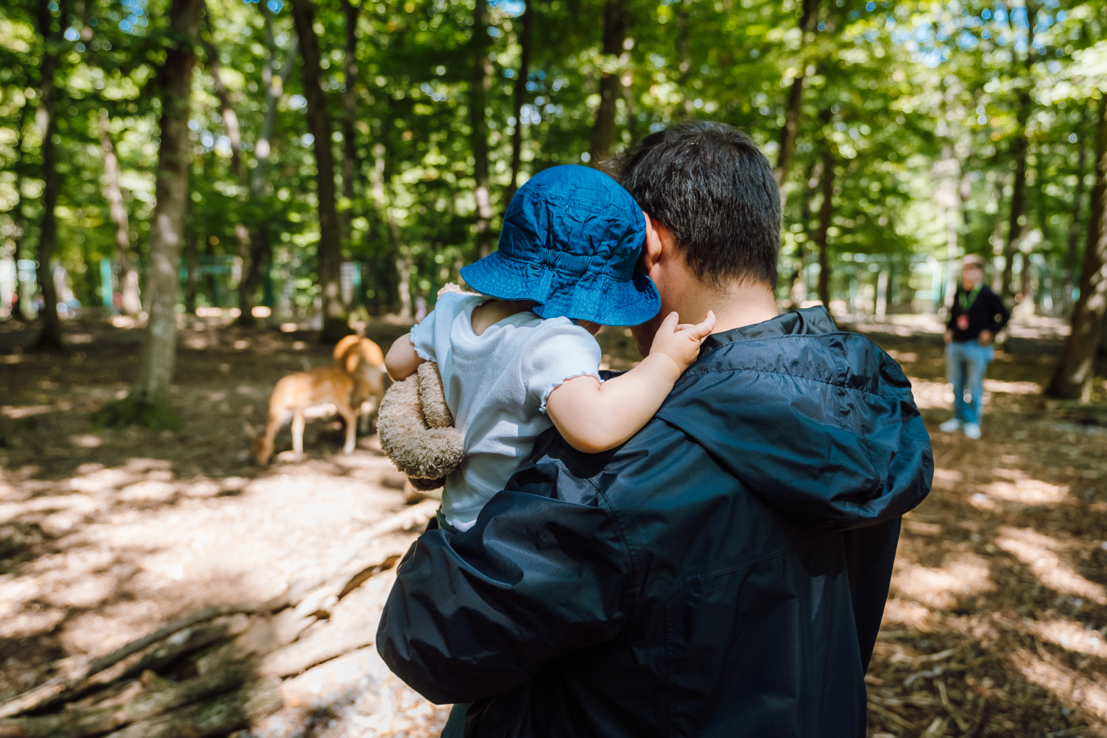 A három legszebb állatkert Romániában, amit érdemes még ma meglátogatni