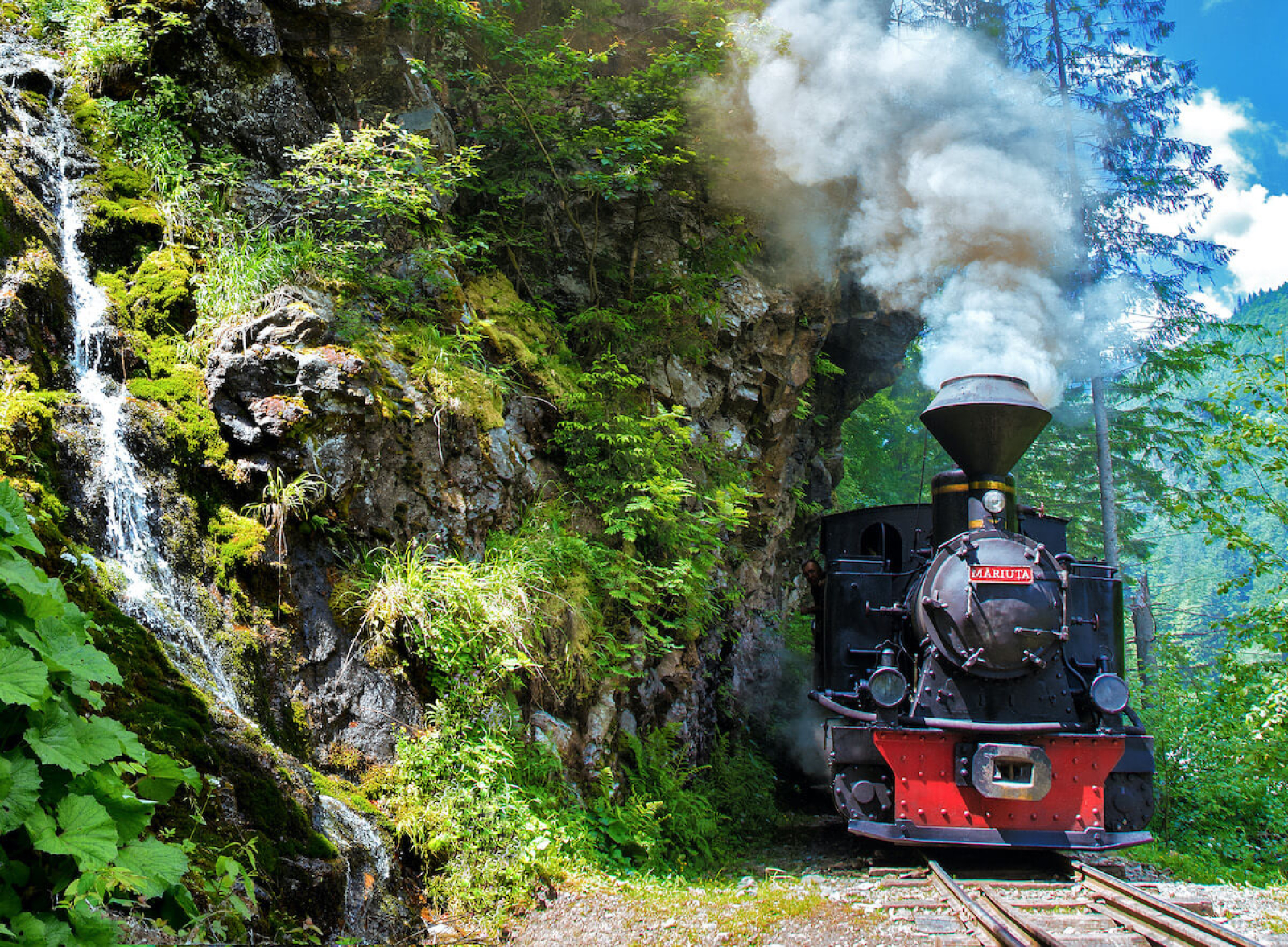 Mocănița de pe Valea Vaserului