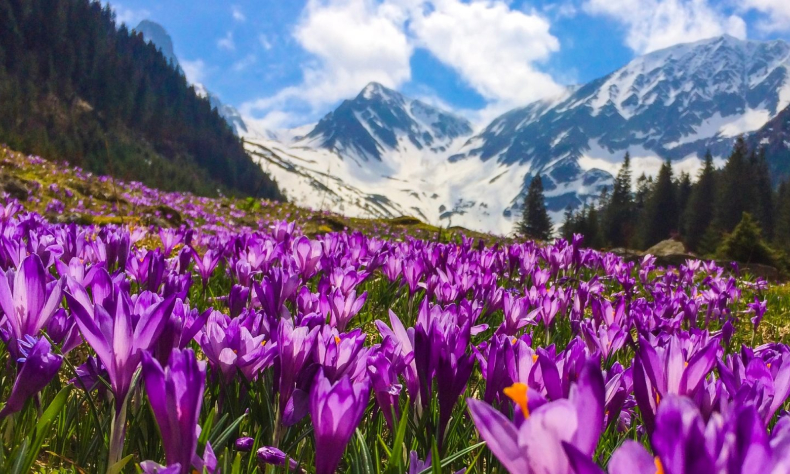 Cele mai bune destinații din România de vizitat în aprilie