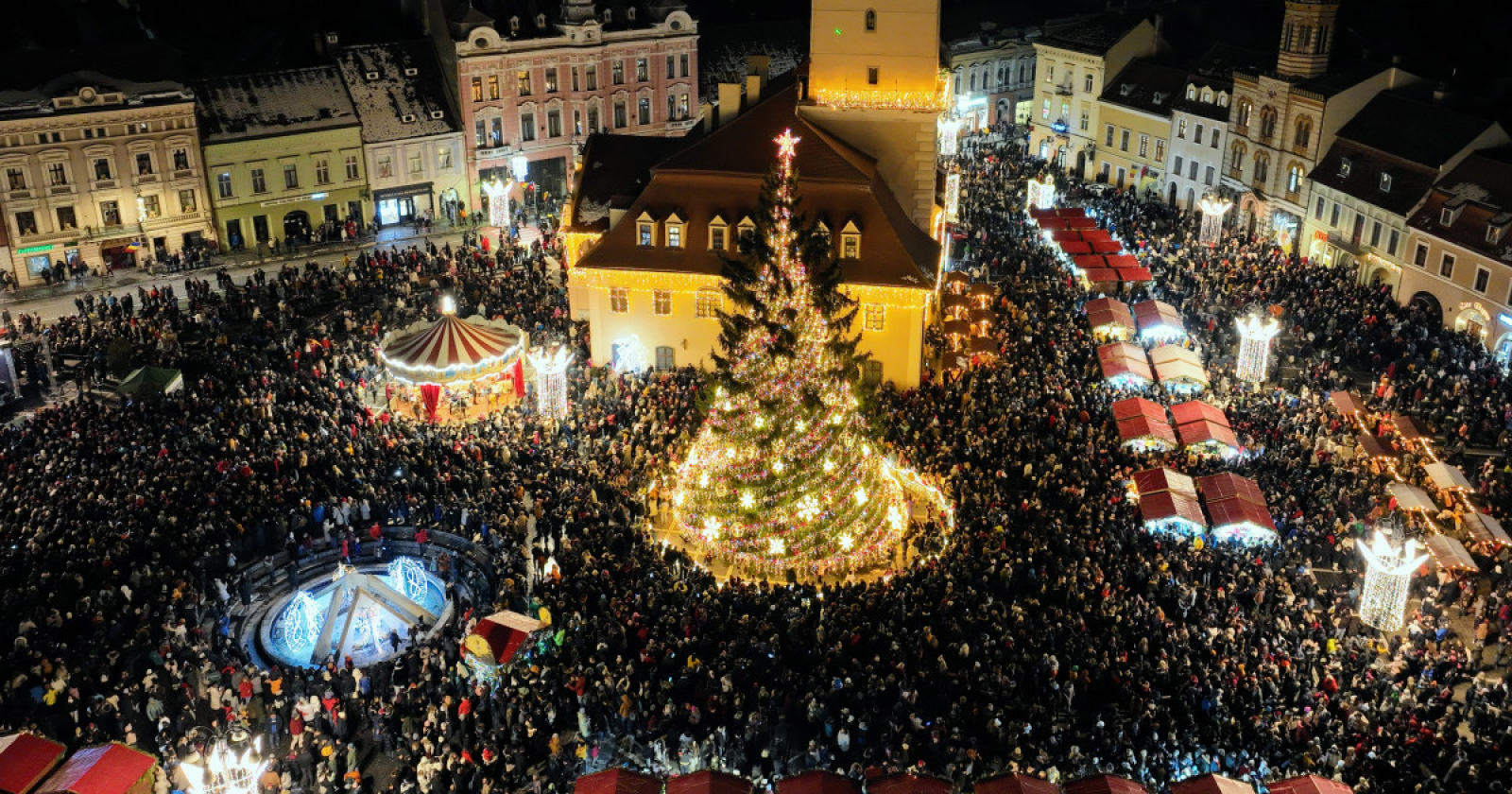 The biggest natural Christmas tree in Romania is lit up in Brașov