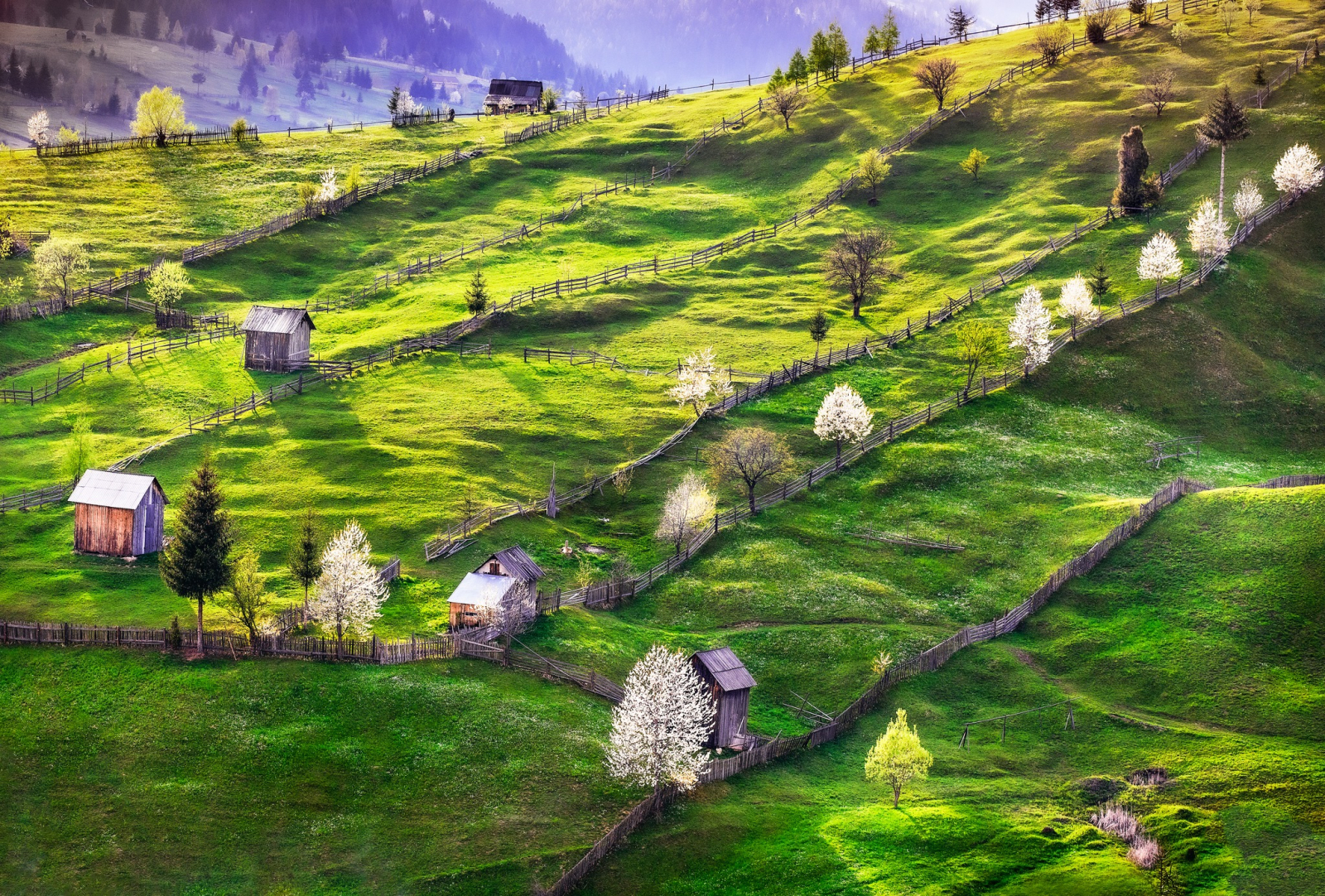 4 Perfect Destinations for a Spring Holiday in Romania