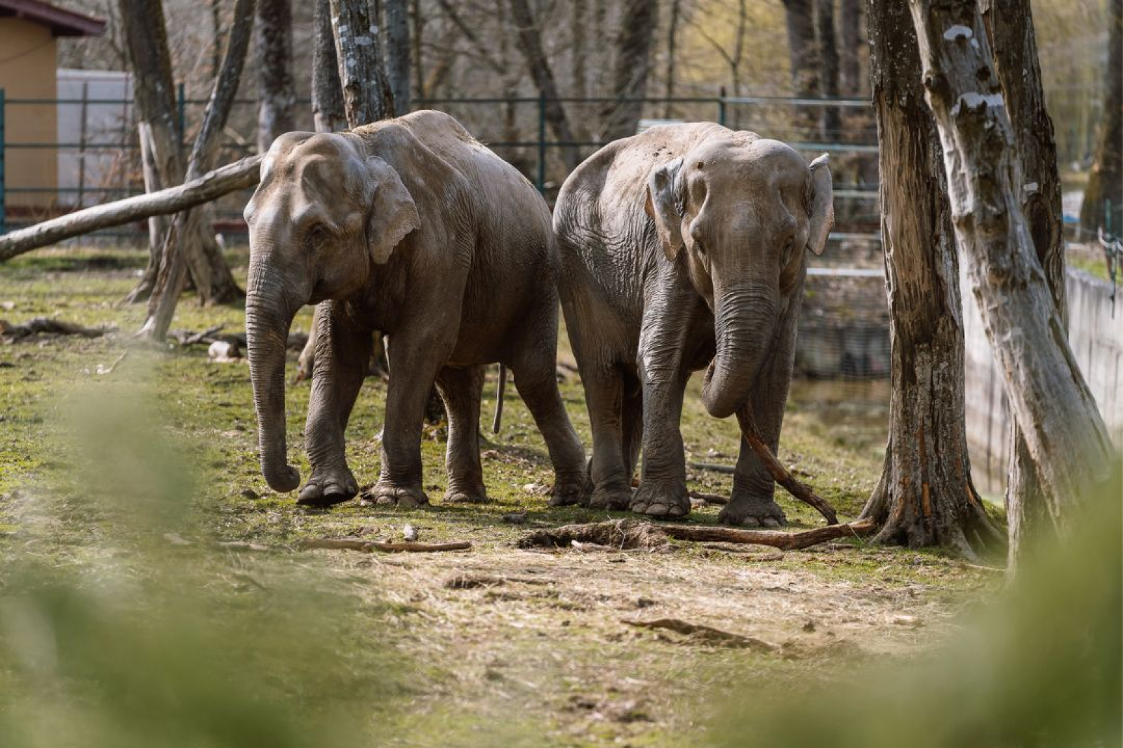 The most beautiful zoos to visit in 2026