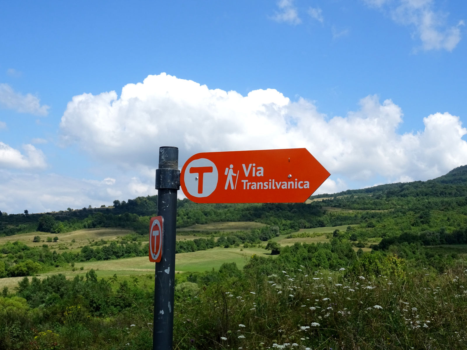 Via Transilvanica: 1.400 de kilometri de cultură și natură