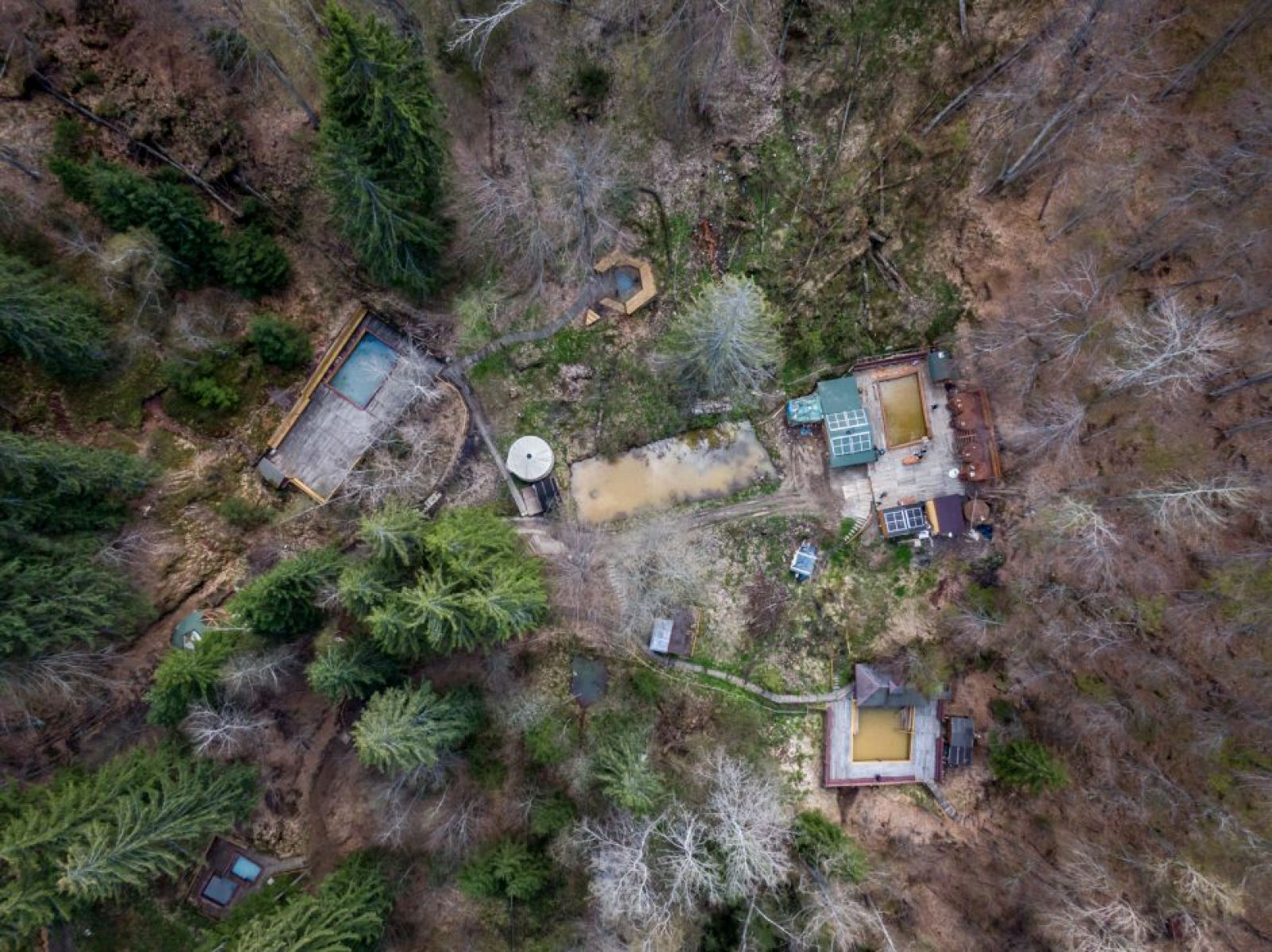 Secretele Băilor Csiszár: Locul unde natura vindecă trupul și liniștește mintea