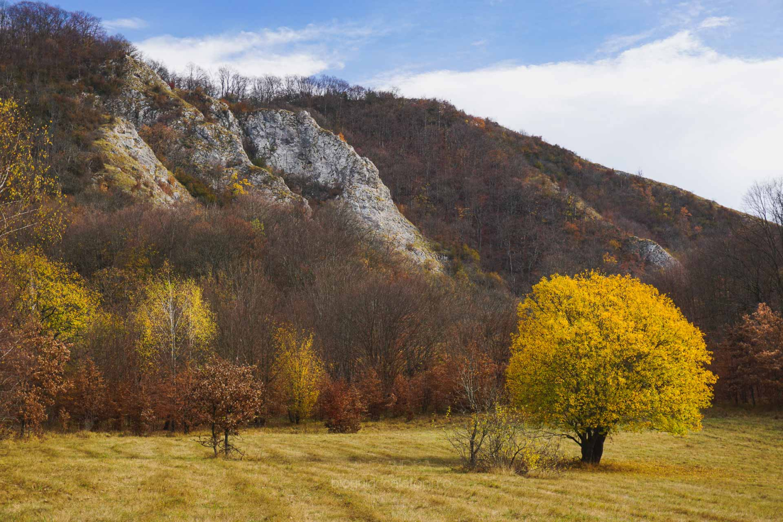 Traseu de toamnă în Cheile Vârghișului